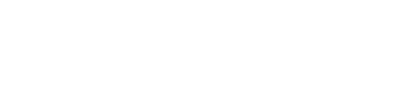 Logo Freiwillige Feuerwehr Musterstadt
